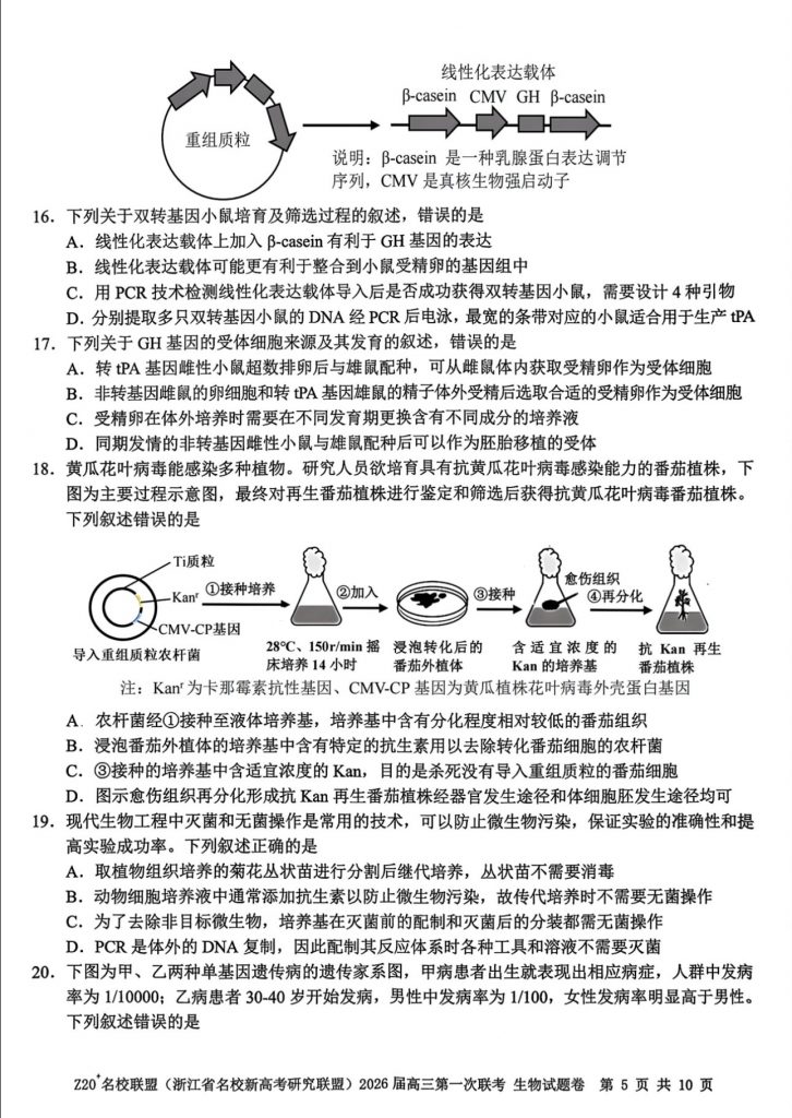 6c238ae3c7be9afac54b02c3bc66a370