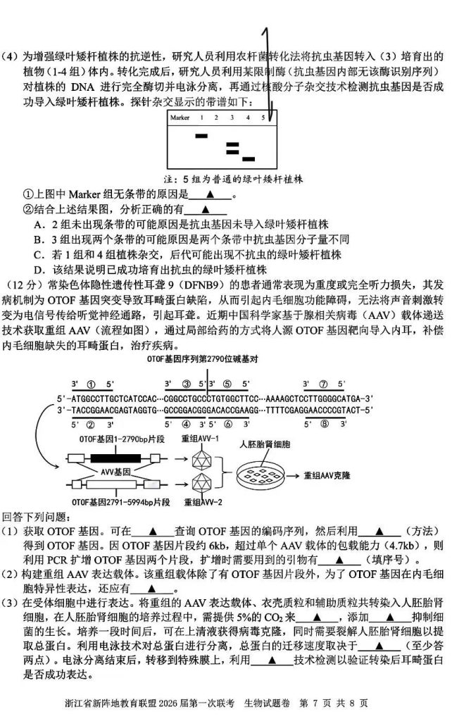 05313031ba9c12d0f8f5a56de0b8010c