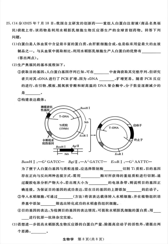 053506f73e3165152add3b4fa88720f6