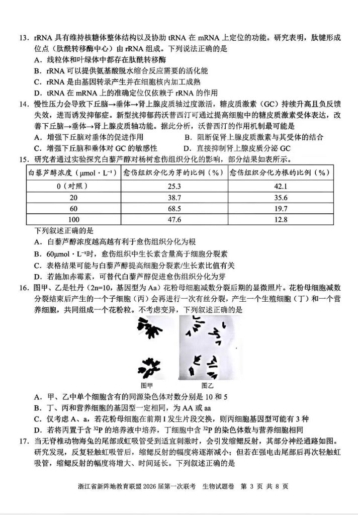 0e824d90c1e9c0beb2e1fb7a7d085bfd