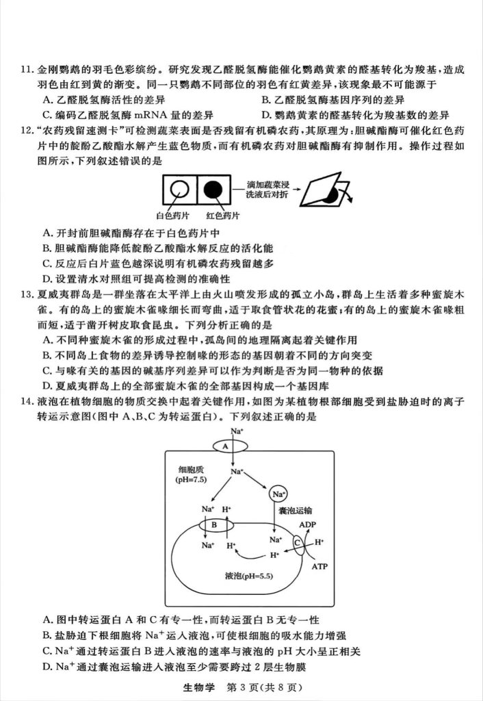 6f7aef4db2bb8aa4fdcda2e929055dfe